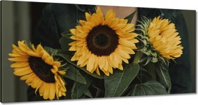 Vászonkép 180x90 Napraforgók Virágok
