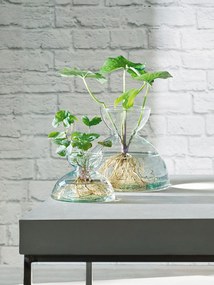Baldachinos váza, magassága 18 cm, átlátszó - LSA International