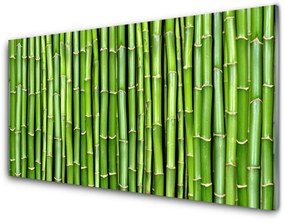 Üvegkép Bamboo Virág Plant 100x50 cm 2 fogas