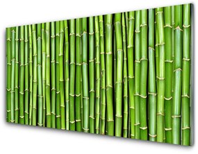 Üvegkép Bamboo Virág Plant 100x50 cm