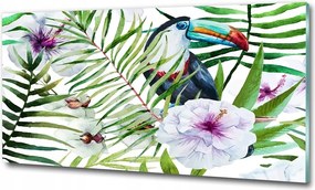Fotó-kép edzett üveg Tukán trópus 100x70