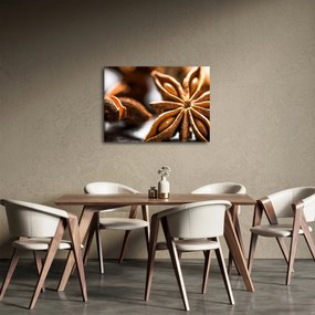 Kép - Anise (70x50 cm)