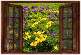 Poszterek 60x40 Krokodilok a réten