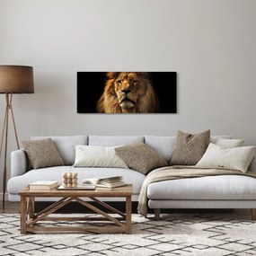 Kép - Dús sörényű oroszlán (120x50 cm)