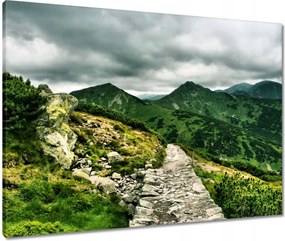 Vászonkép 80x60 Utak a Tátrában