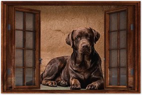 Poszter 60x40 Barna kutya barát