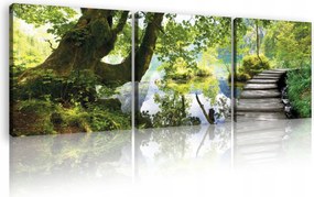 Vászonkép 75x25 Természet erdő tó folyó tó fák zöld víz tükröződés nyugalom