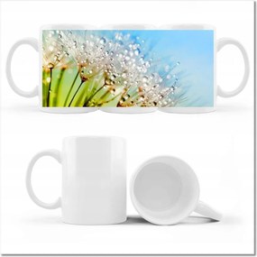 Fotó bögre harmatcseppek Pitypang