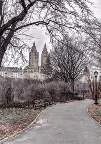 Poszter 21x29,7cm Ösvény a központi parkon át 2, Assaf Frank