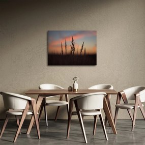 Kép - A növény sziluettje (70x50 cm)