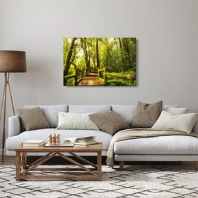 Mohás dzsungel képe (90x60 cm)