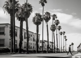 Poszter 18x13cm Séta a pálmafák árnyékában