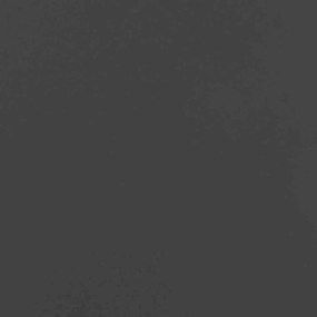 vidaXL fekete hidegen hengerelt acél növénytartó 40x80x40 cm