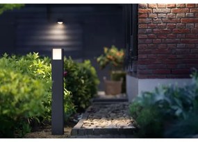 Philips - LED Kültéri lámpa ARBOUR LED/3,8W/230V 77 cm IP44
