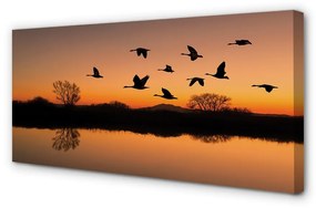 Canvas képek Repülő madarak naplemente 100x50 cm