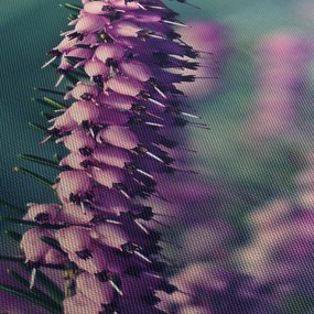 Levandula képe (90x60 cm)