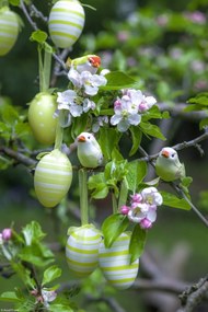 Poszter 20x30cm Húsvéti tojások lógnak az ágakon, Assaf Frank