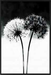 Poszter Keret Alumínium Grafika Modern Virágok Pitypang Fekete Fehér 40x60