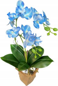 Orchidea cserépben Kék művirág Nőnapi Ajándék