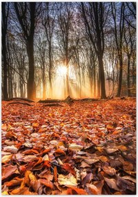 Poszterek 70x100 Őszi kilátás Tájkép