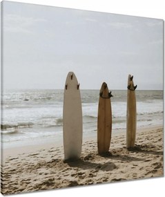 Vászonkép 60x60 Szörfdeszkák bézs