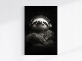 Vászonkép Canvas Portré Lajhár Zene Relaxáció Pihenés 80x120