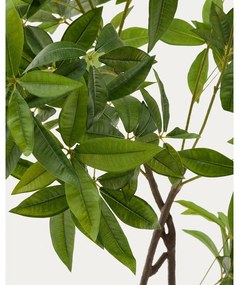 Műnövény (magasság 180 cm) Pachira – Kave Home