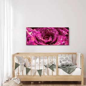 Rózsaszín rózsa virágzata képe (120x50 cm)