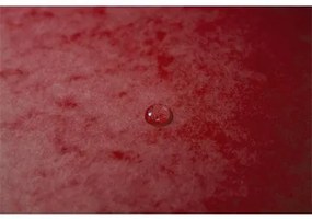 Gumis mappa, karton, A4, 40 mm, EXACOMPTA, piros (EX50405E)