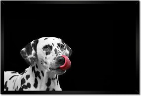 Poszterek keretben 60x40 Mindenre kidobva