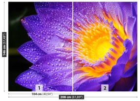 Fotótapéta Purple Lotus 104x70 cm