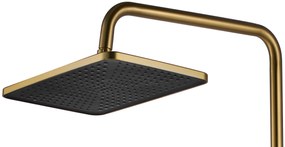 Zuhanyszett Termosztátos REA ROB Gold Brush