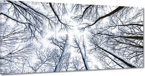 Festmények 180x90 Fa Fák Kilátás