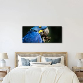 Papagáj képe (120x50 cm)