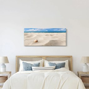 Kép - Kagylók a tengerparton (120x50 cm)