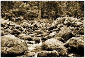 Poszterek 155x105 Tátra Lengyel hegyek Kilátás