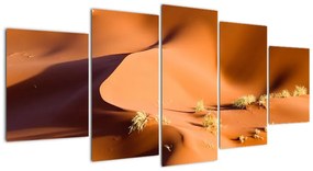 Kép - sivatagi, dűnék (150x70cm)