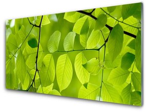 Üvegkép Elhagyja Plant 120x60cm 2 fogas