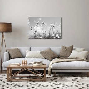 Kép - Boho nyuszi farok fű (90x60 cm)