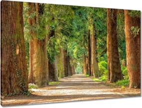 Vászonkép 90x60 Tájkép