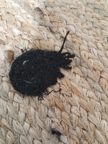 AKCIÓ Gyermek juta szőnyeg MEDVE FEJ 100 cm II. osztály