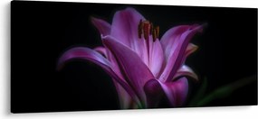 A liliom képe (120x50 cm)