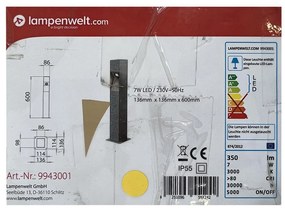 Lampenwelt Lampenwelt - LED Kültéri oszlopos lámpa AMELIA LED/7W/230V IP55 LW0688