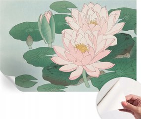 Öntapadós Dekoratív Fotótapéta Hálószobába Vízi lótusz 104x70 cm