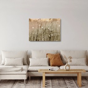 Üveg kép - Harmonikus rét (70x50 cm)
