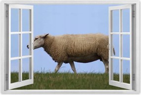 Poszterek 60x40 Juh legeltetés Bárányok