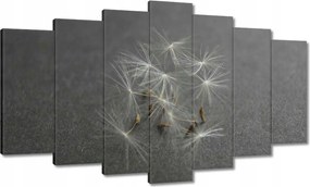 Vászonkép 140x80 Pitypang Virág Virágok