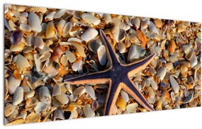 Egy tengeri csillag képe (120x50 cm)