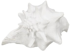 Poligyanta szobor (magasság 13 cm) Seashell – Ixia