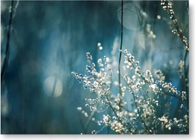 Fa Kék Boho poszter 30x40cm kép #209